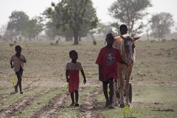 Enfants et agriculture